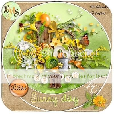 Sunny day Pictures, Images and Photos