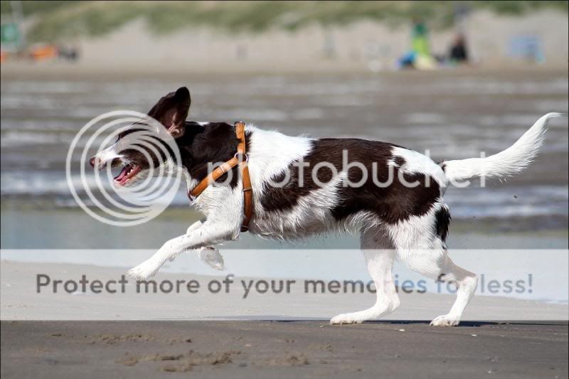Fotografie