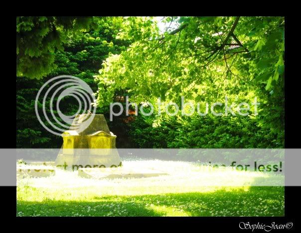 Grave Pictures, Images and Photos