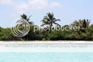 8º día 24/07/201 - Visita a Sian Ka\'an y Playa del Carmen - La \IMPRESIONANTE\ Riviera Maya - 11D/9N (7)