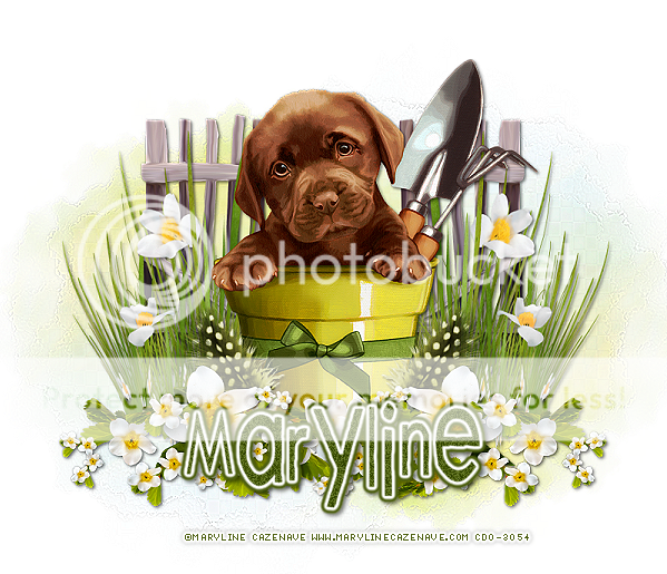 photo MarylineGL.png