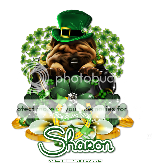 photo SharonIP.png