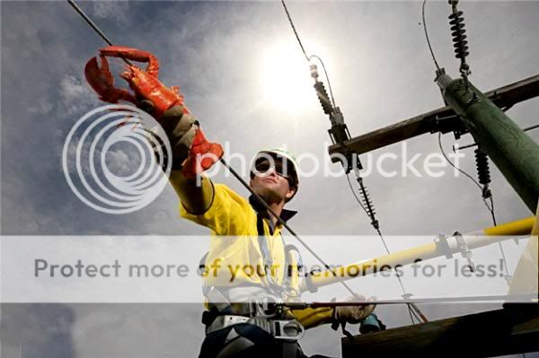 Fun 4 All [FFA] - Snegidhi Group by www.SNEGIDHI.com