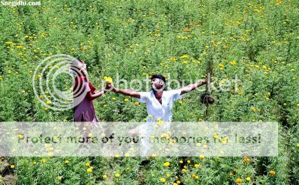 Fun 4 All (FFA) - Snegidhi Group by www.SNEGIDHI.com