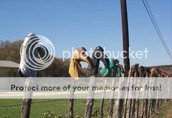 Fun 4 All [FFA] - Snegidhi Group by www.SNEGIDHI.com