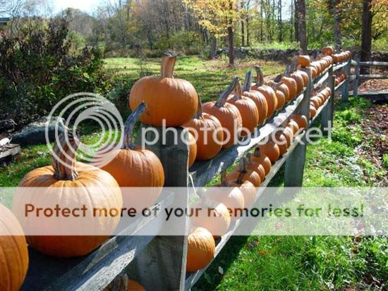 Fun 4 All [FFA] - Snegidhi Group by www.SNEGIDHI.com