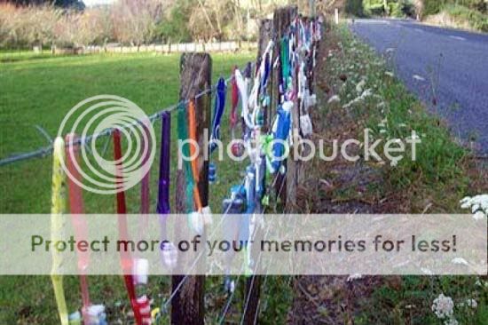 Fun 4 All [FFA] - Snegidhi Group by www.SNEGIDHI.com