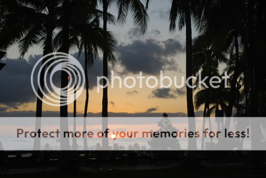 waikiki Pictures, Images and Photos