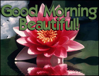 good_morning_beautiful.gif